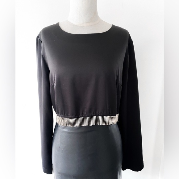 Dynamite Long Sleeve Satin Top with Rhinestone Hem, Size M - Picture 3 of 10